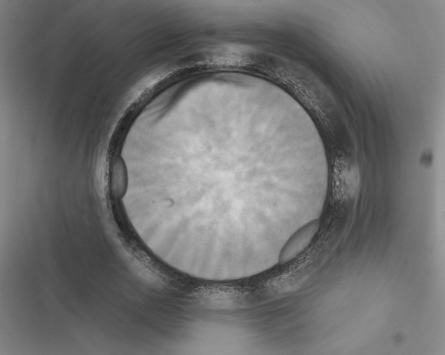 X0000116580726201001211304