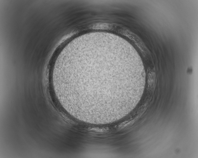 X0000116580727201001211304