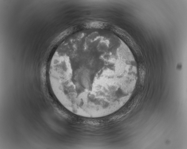 X0000116580729201001211304