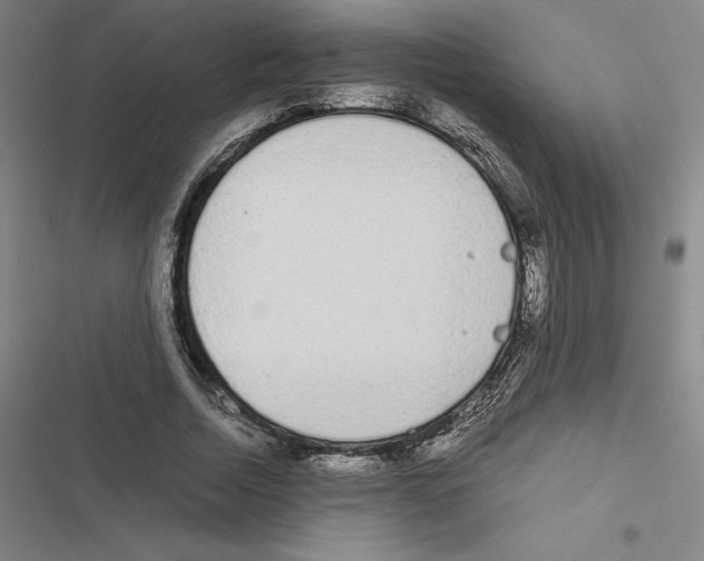 X0000116580730201001211304