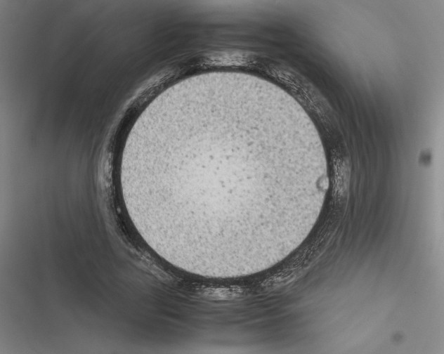 X0000116580731201001211304