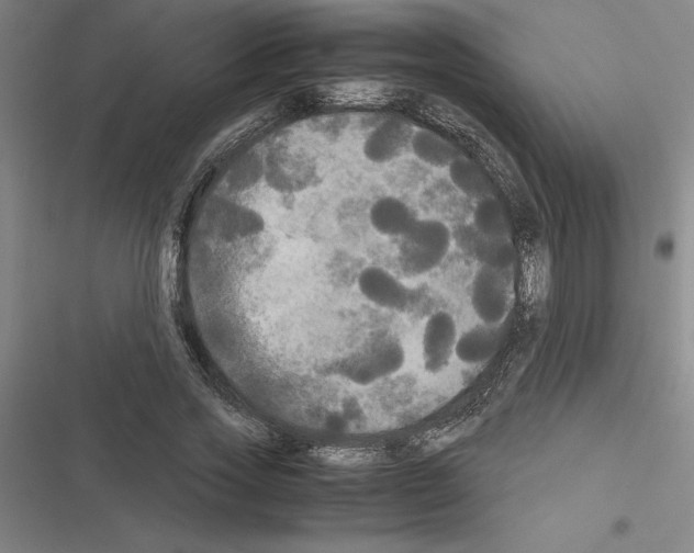 X0000116580733201001211304