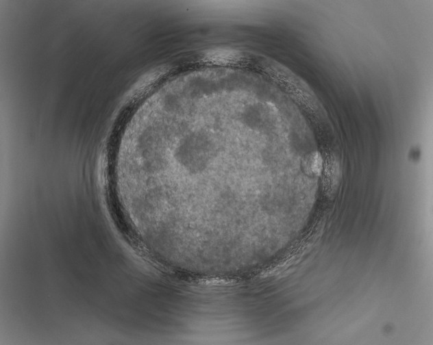 X0000116580734201001211304