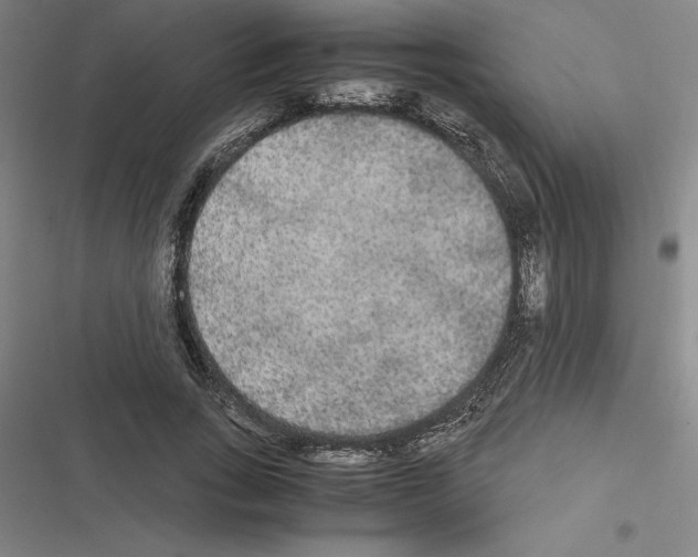 X0000116580735201001211304