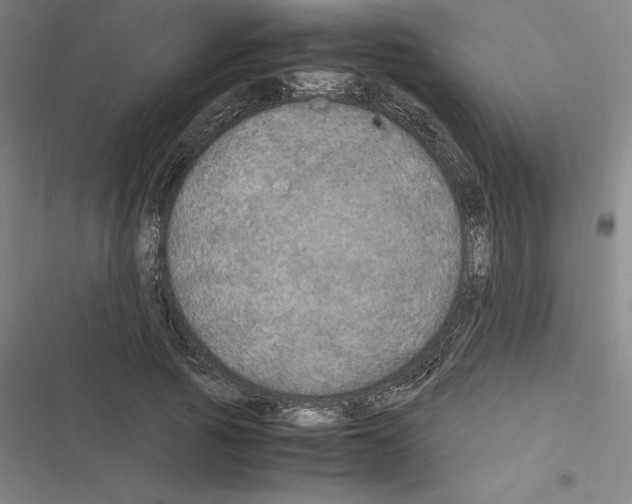 X0000116580737201001211304