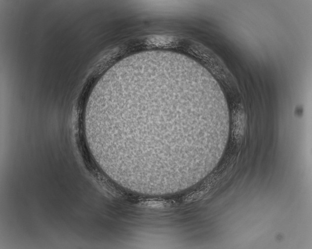 X0000116580738201001211304