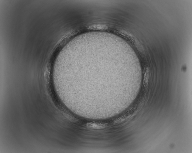 X0000116580739201001211304