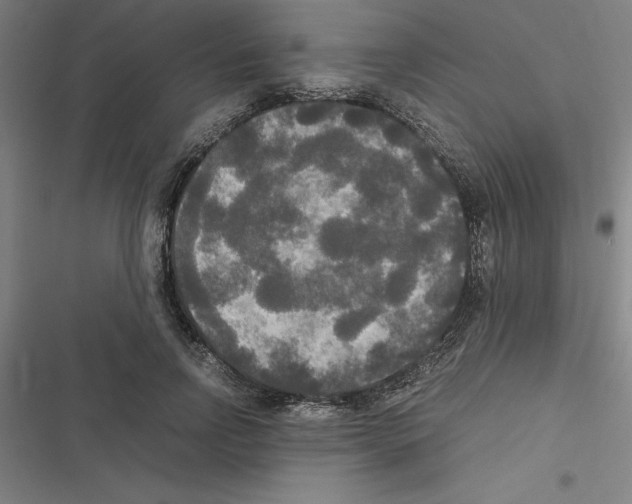 X0000116580742201001211304