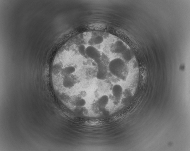 X0000116580745201001211304