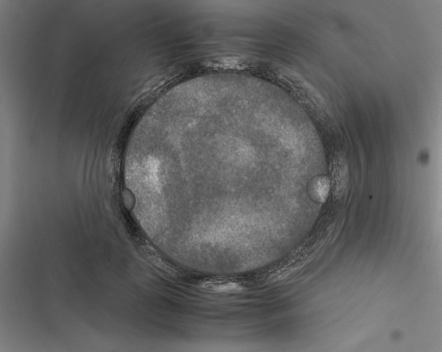 X0000116580747201001211304