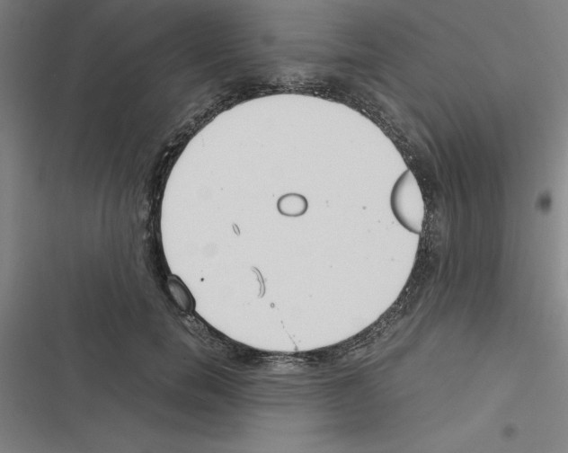 X0000116580750201001211304