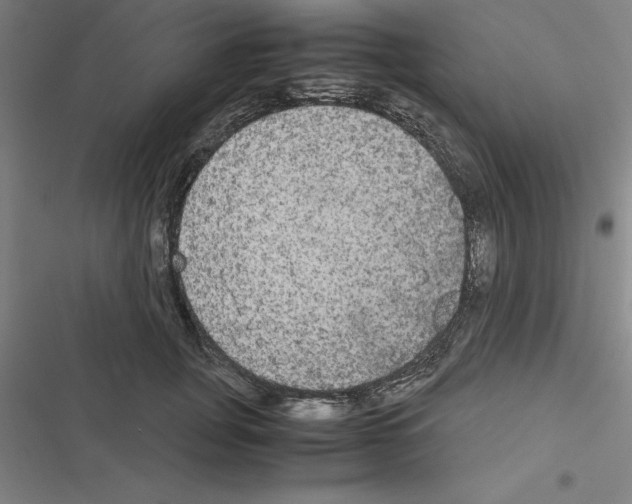 X0000116580751201001211304