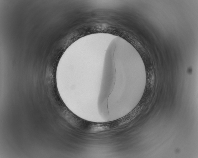 X0000116580754201001211304