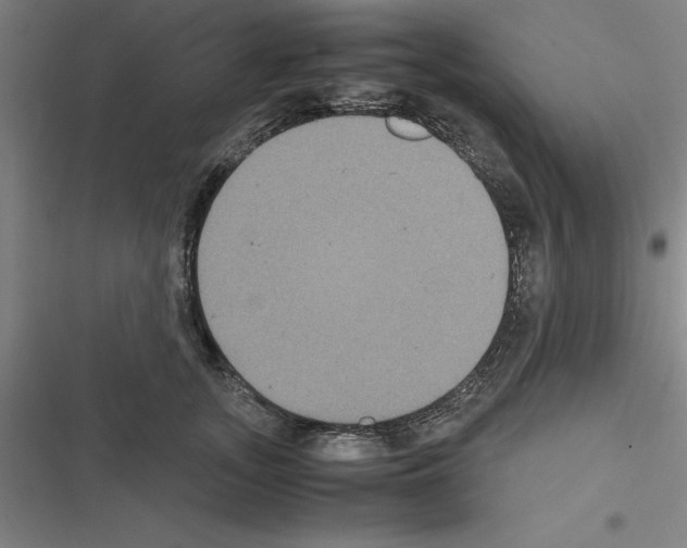 X0000116580755201001211304