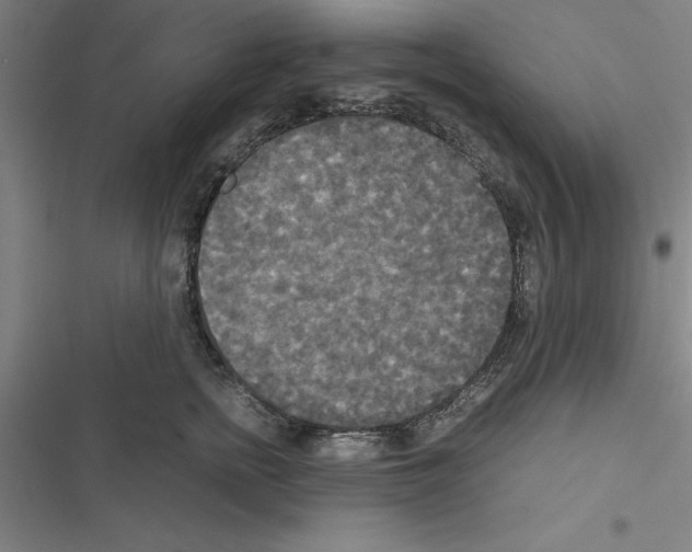X0000116580758201001211304