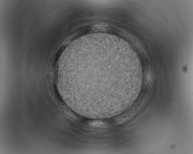 X0000116580759201001211304