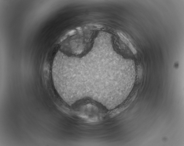 X0000116580761201001211304