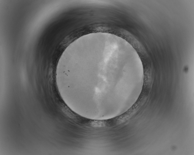 X0000116580762201001211304
