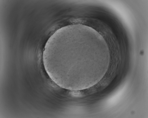 X0000116580767201001211304