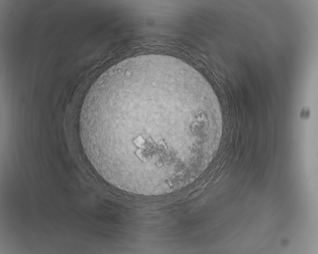 X0000116580769201001211304