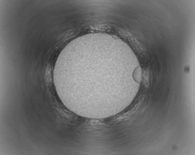 X0000116580770201001211304