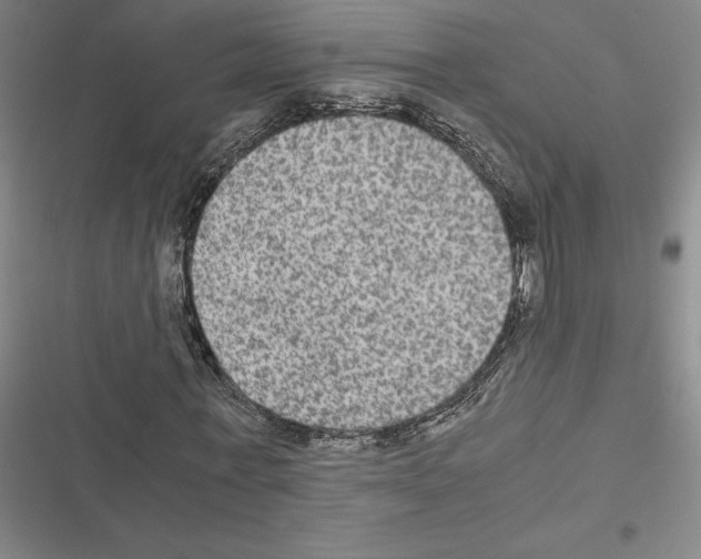X0000116580771201001211304