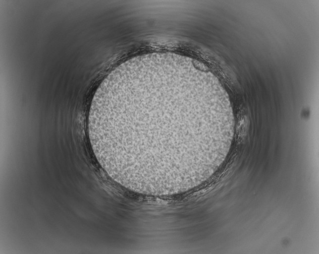 X0000116580772201001211304