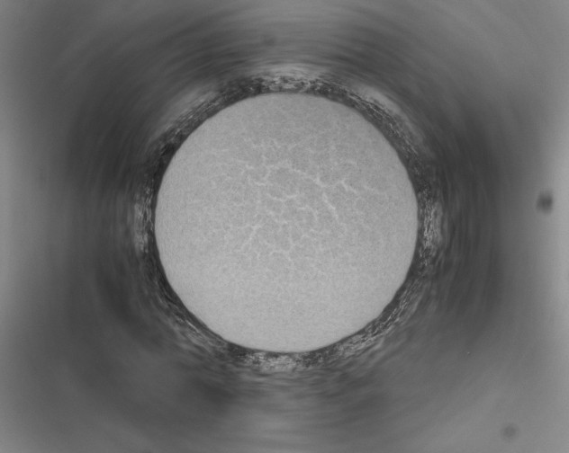 X0000116580774201001211304