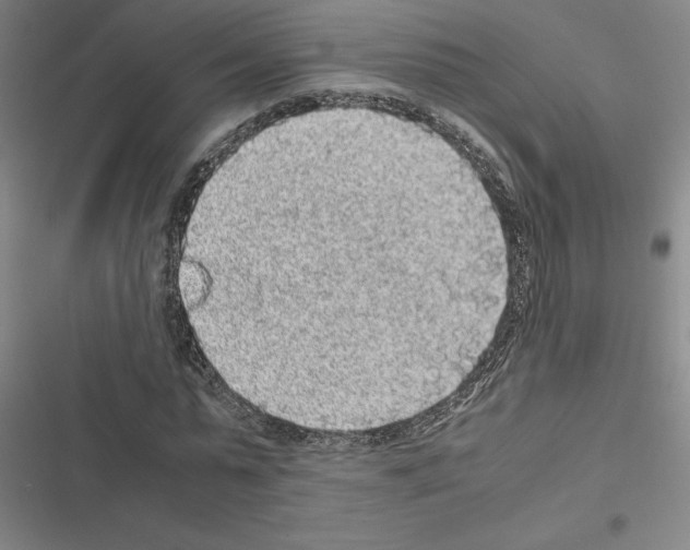 X0000116580775201001211304