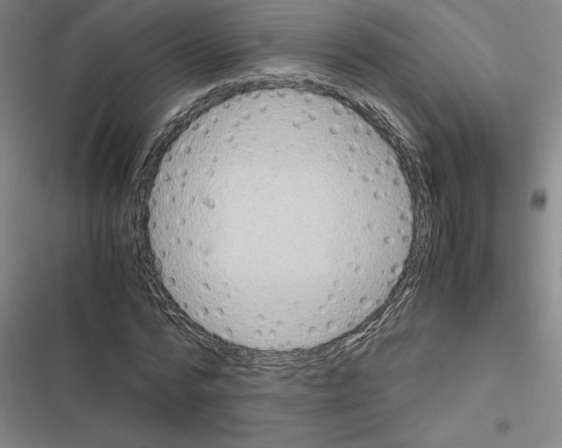 X0000116580776201001211304