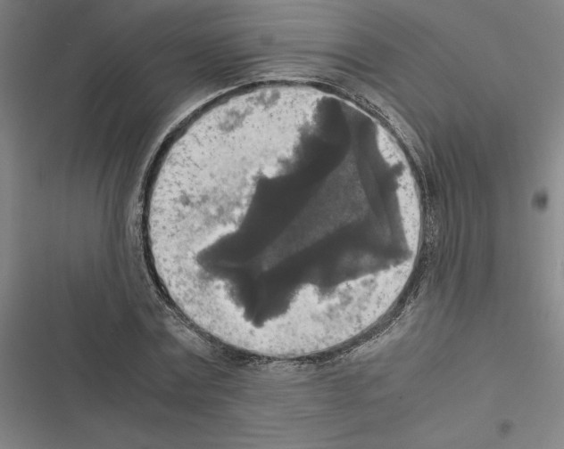 X0000116580779201001211304