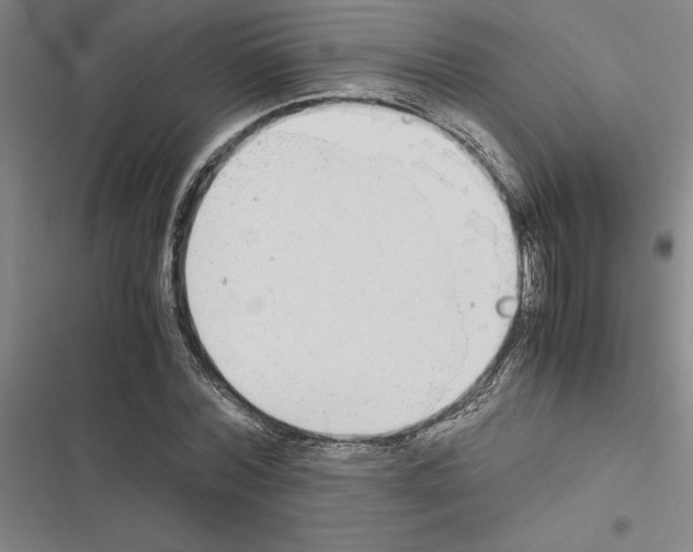 X0000116580780201001211304