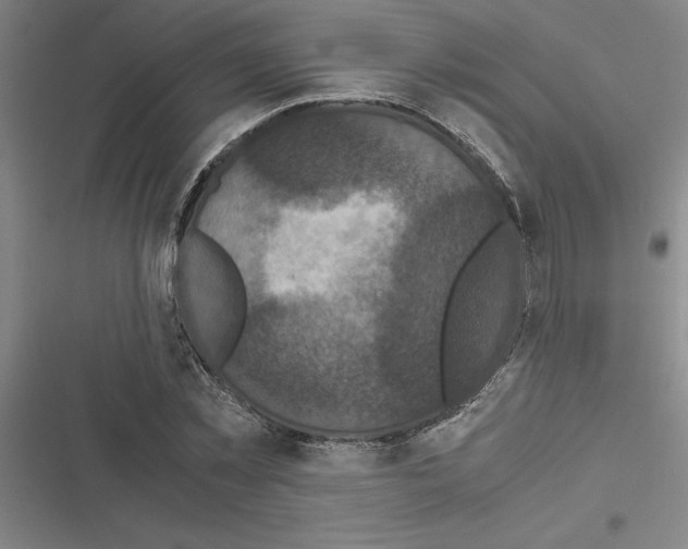 X0000116580781201001211304