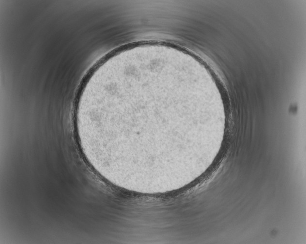 X0000116580783201001211304