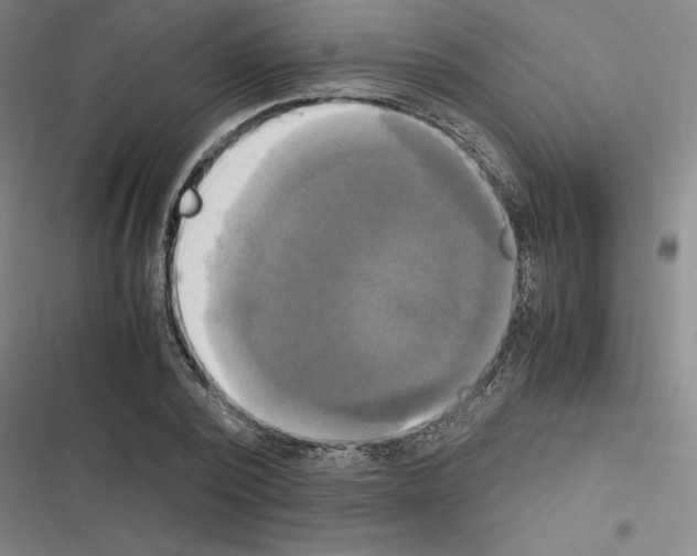 X0000116580784201001211304