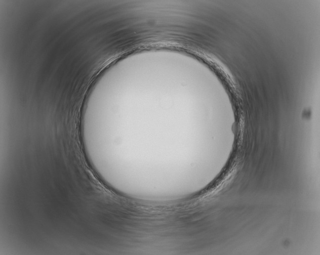 X0000116580785201001211303