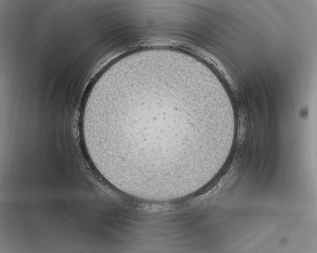 X0000116580786201001211303