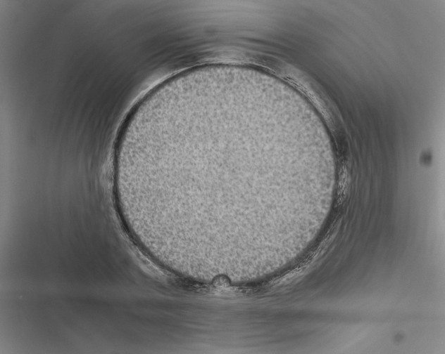 X0000116580787201001211303