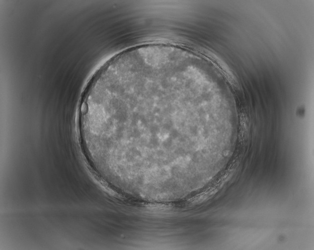X0000116580788201001211303