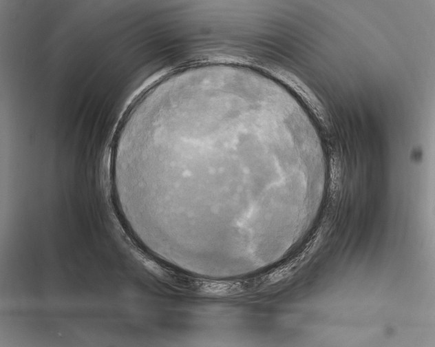 X0000116580790201001211303
