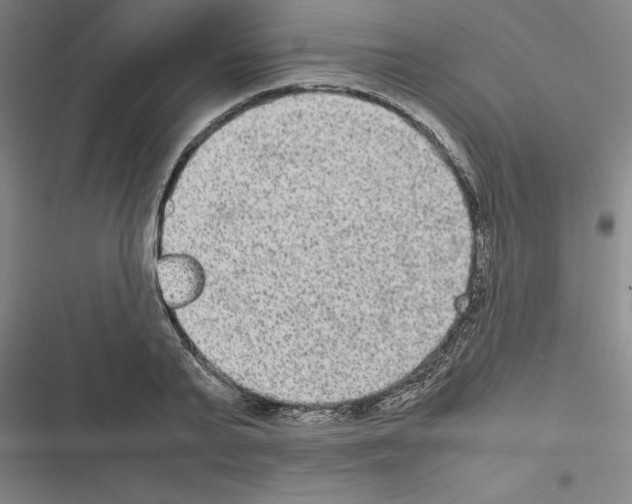 X0000116580791201001211303