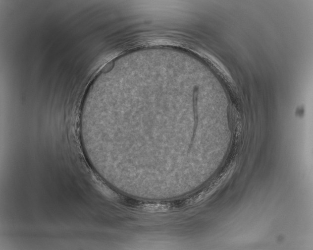 X0000116580793201001211303
