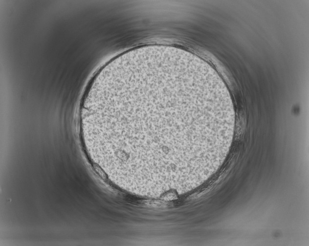 X0000116580795201001211303