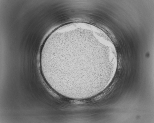 X0000116580796201001211303
