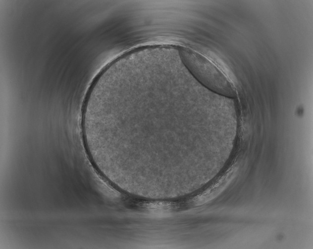 X0000116580797201001211303