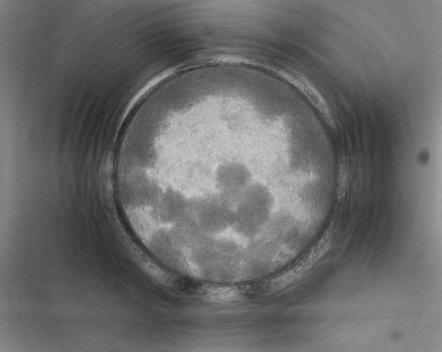 X0000116580798201001211303