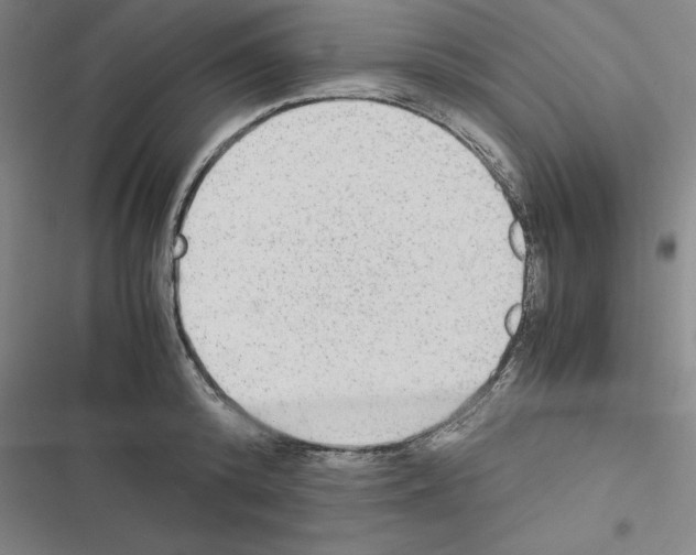 X0000116580800201001211303