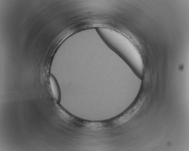 X0000116580801201001211303