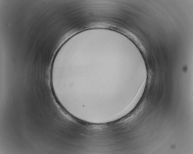 X0000116580802201001211303