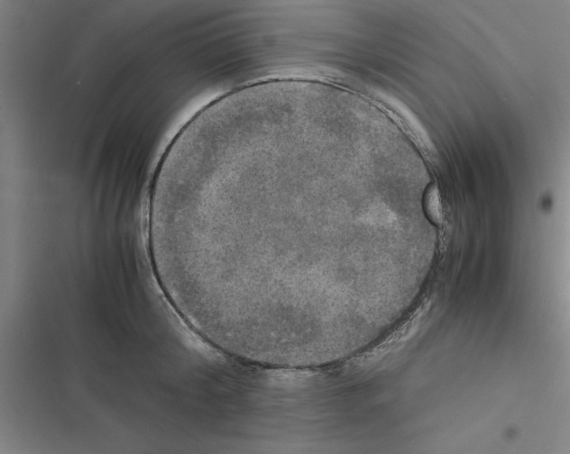 X0000116580804201001211303